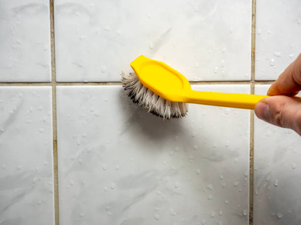 Best Mold Removal Company Near Me  in Kalamazoo, MI