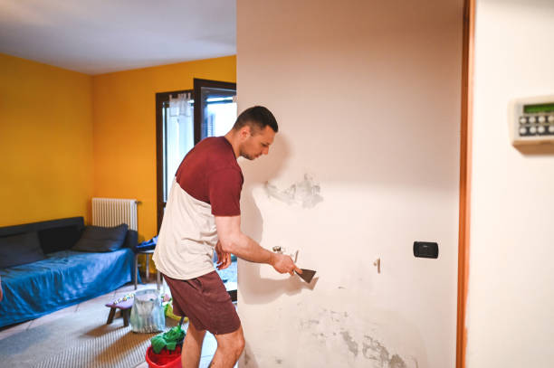 Best Local Mold Removal Service  in Kalamazoo, MI