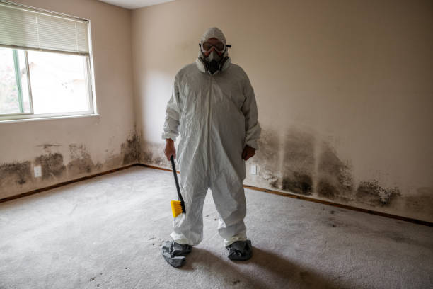 Best Emergency Mold Removal  in Kalamazoo, MI